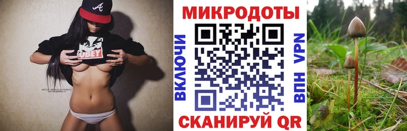 Псилоцибиновые грибы Psilocybine cubensis  наркота  Руза 